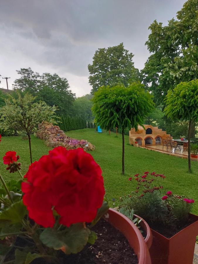 Kuca Za Uzivanje Valjevo Exterior foto